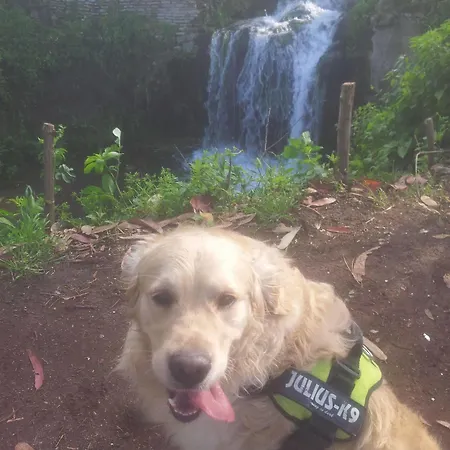 Al Solito Posto Řím