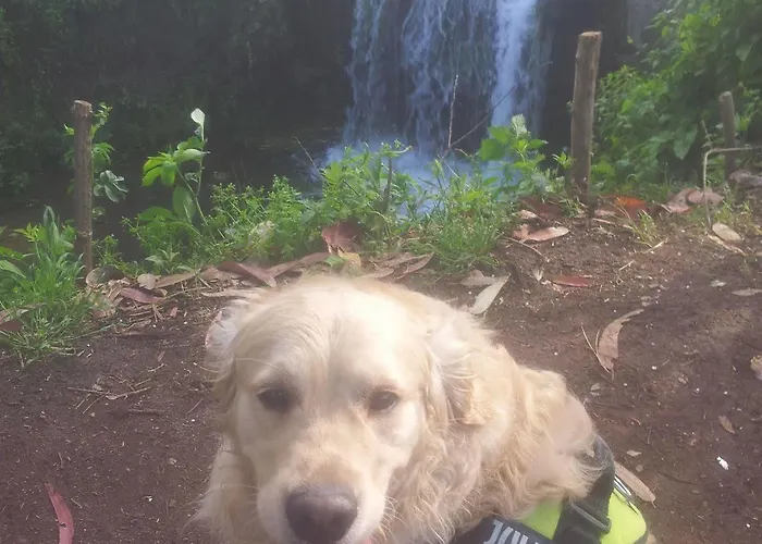 Al Solito Posto Roma